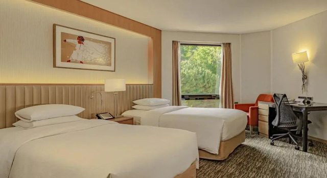 Двухместный номер Deluxe Swiss Grand Hotel 