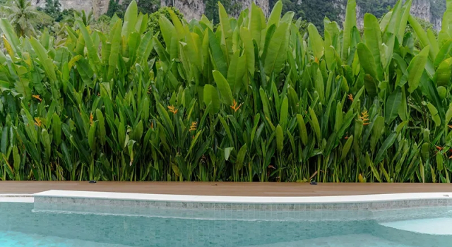 Вилла Sainai Pool Ban Sainai Resort- Aonangs Green Resort
