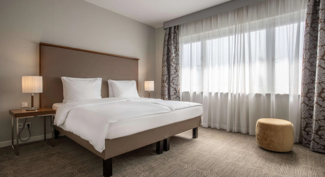 Двухместный люкс c 1 комнатой Radisson Blu Hotel Schwarzer Bock Wiesbaden