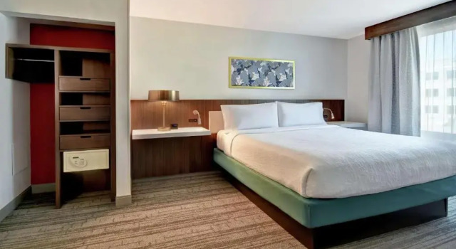 Номер Hilton Garden Inn Houston/Galleria Area