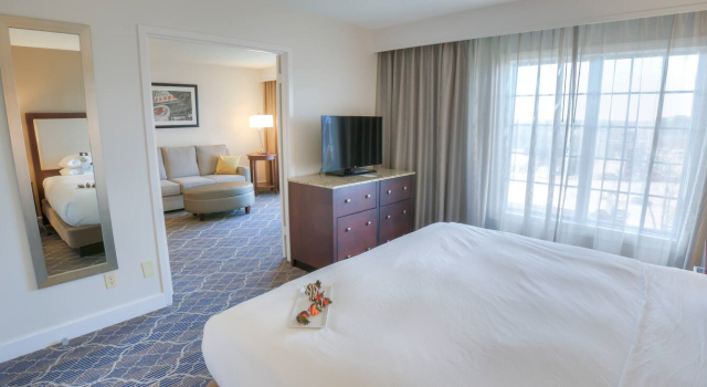 Люкс с 2 комнатами NON SMOKING Doubletree Suites by Hilton at The Battery Atlanta