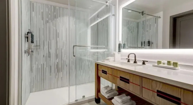 Гостевой номер Deluxe Hilton University of Houston