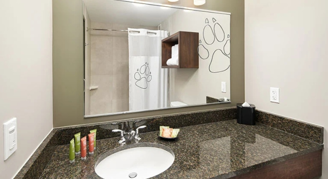 Люкс Deluxe Wolf Den Great Wolf Lodge Manteca