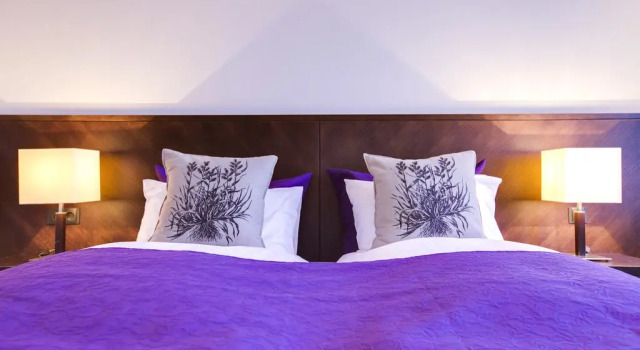 Номер Business Radisson Blu Saga Hotel, Reykjavik