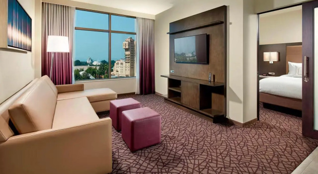Люкс с видом на тематический парк Residence Inn by Marriott at Anaheim Resort/Convention Center