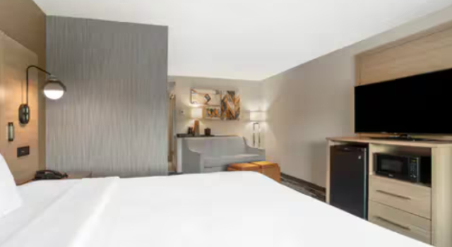 Двухместный люкс Разрешено проживание с домашними животными Comfort Suites At WestGate Mall