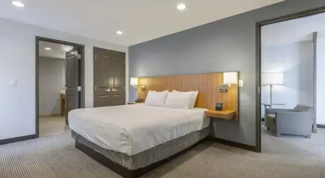 Двухместный люкс с 2 комнатами с видом на горы DoubleTree by Hilton Asheville Downtown