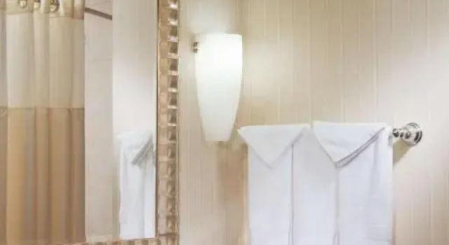 Двухместный номер Mobility accessible DoubleTree by Hilton Austin