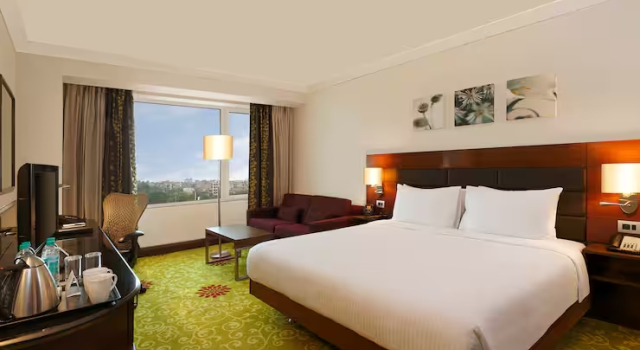 Двухместный номер для людей с ограниченными возможностями Hilton Garden Inn New Delhi/Saket