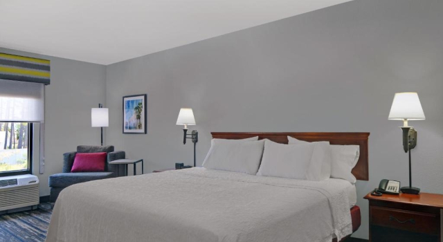 Гостевой номер Accessible Hampton Inn by Hilton Panama City Beach