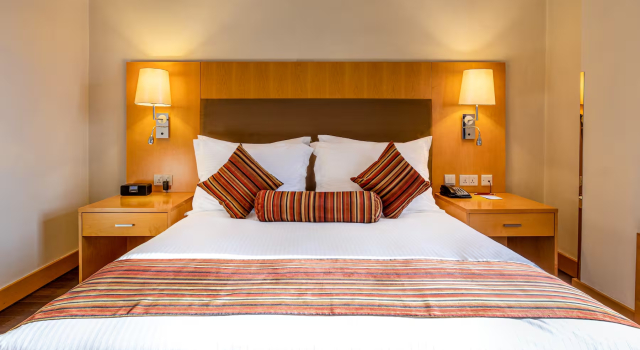 Iş çift kişilik oda Ramada Addis, Addis Ababa