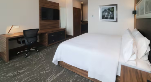 Номер Hilton Garden Inn Monterrey Obispado