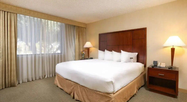 2 room Double Suite DoubleTree Suites by Hilton Tucson Airport