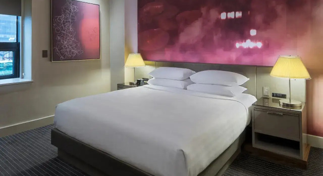 Двухместный номер с видом на город Hyatt Grand Central New York