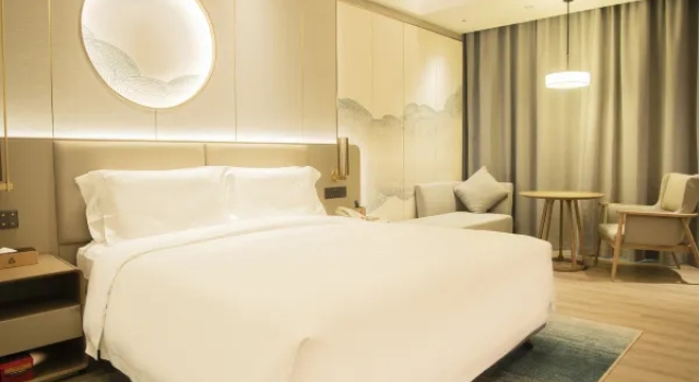 Двухместный люкс Superior with Central Park view Grand Skylight Garden Hotel Shenzhen