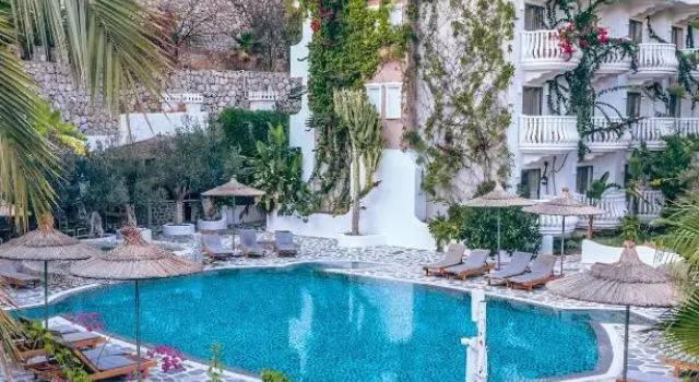 Flamingo Hotel & Spa - Pet Friendly