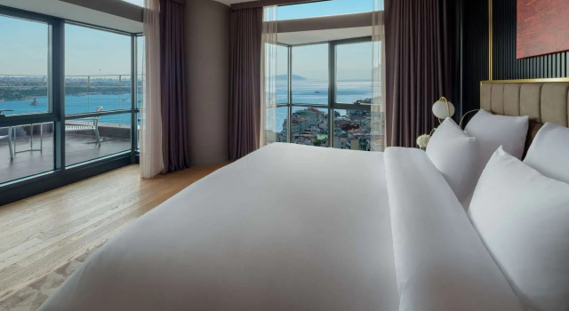 Двухместный люкс Club Millesime Access Signature c 1 комнатой с видом на Босфор Sofitel Istanbul Taksim
