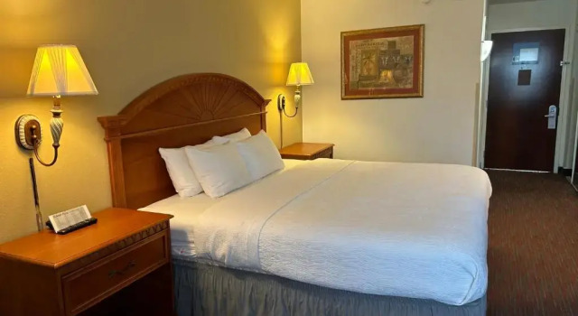 Двухместный номер Standard Orlando Palms