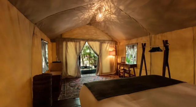 Двухместный номер Jungle Our Habitas Tulum