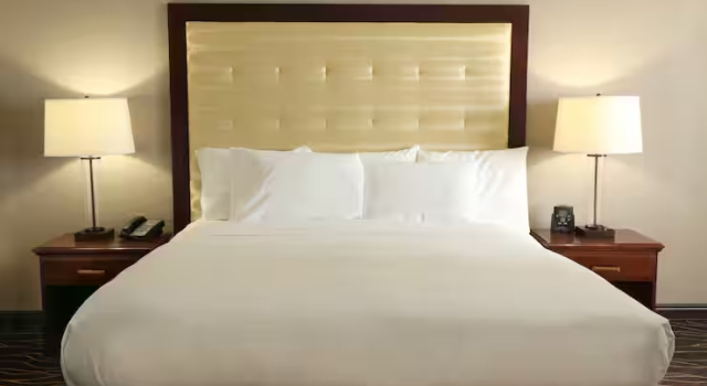 Двухместный номер Hilton Kansas City Airport