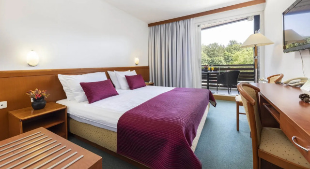 Двухместный номер Standard Park Side Hotel Jezero - Plitvice Lakes National Park