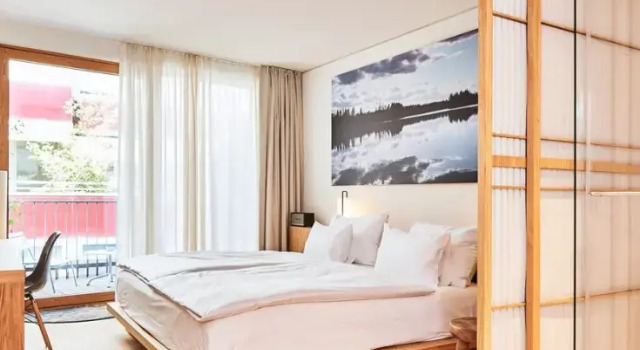 Полулюкс с террасой ART HOUSE Basel - Member of Design Hotels