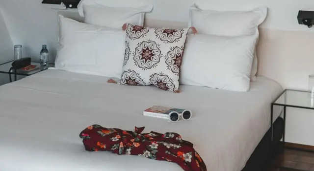 Двухместный люкс с террасой Дуплекс Hotel La Zoologie & Spa Bordeaux