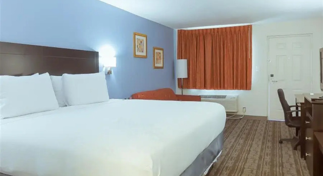 Номер Hotel South Tampa & Suites