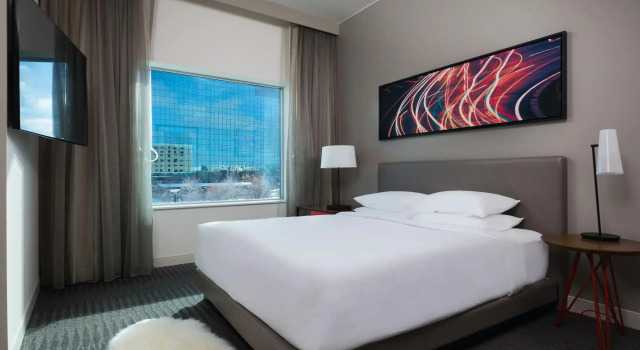 Двухместный люкс с видом на город Hyatt Regency Bloomington - Minneapolis