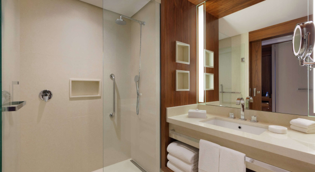 Двухместный MOBILITY/HEARING ACCESS W/ROLLIN SHOWER номер Hilton Barra Rio de Janeiro