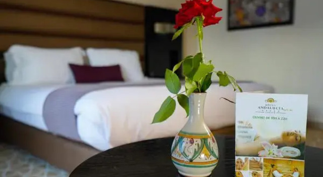 Двухместный номер Deluxe Hotel Andalucia Tangier