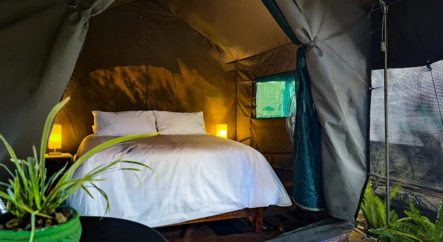 Тент Safari Victoria Falls Backpackers Lodge
