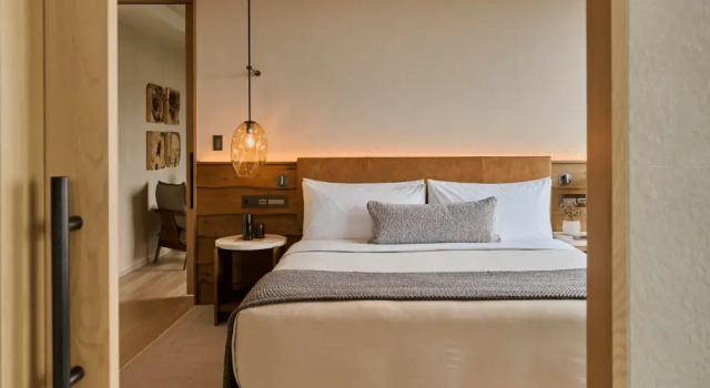Двухместный люкс Panoramic Park c 1 комнатой 1 Hotel Tokyo