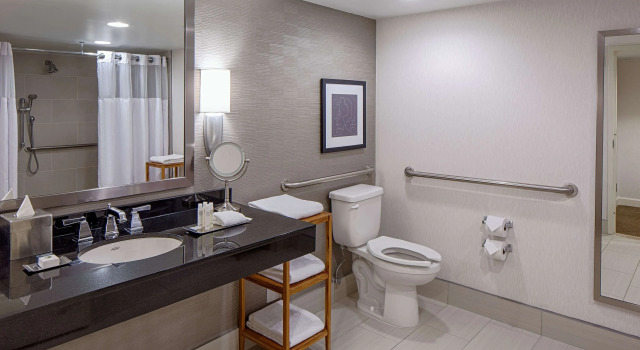Двухместный люкс Deluxe DoubleTree by Hilton Hotel Houston Greenway Plaza