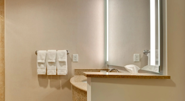 Номер Mobility Accessible with Roll In Shower Hilton Garden Inn Orlando Lake Buena Vista