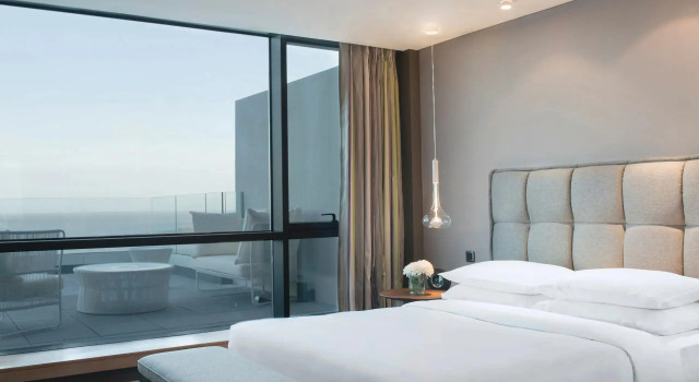 Двухместный люкс Rio de la Plata Hyatt Centric Montevideo