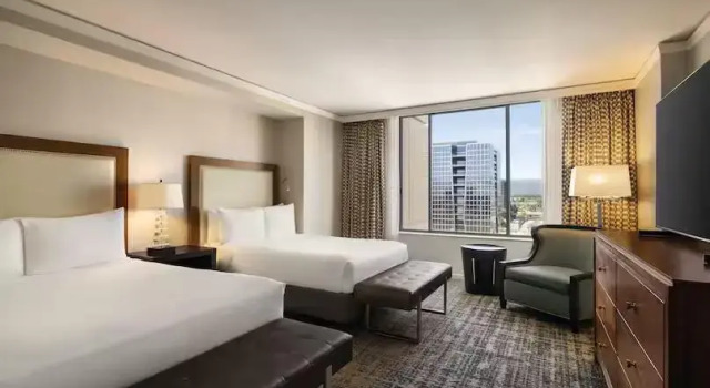 Четырёхместный люкс c 1 комнатой с видом на бассейн Signia by Hilton San Jose