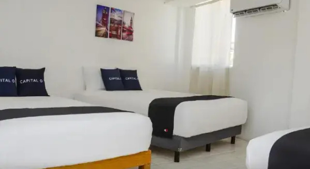 Трёхместный номер Standard Capital O Hotel Dos Mares, Cabo San Lucas