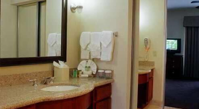 Двухместный люкс Homewood Suites by Hilton Houston West-Energy Corridor