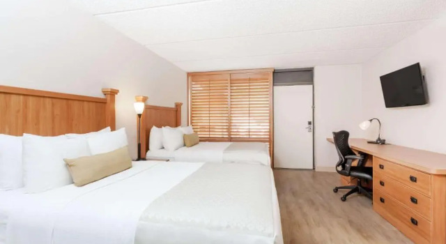 Четырёхместный люкс Casita Wyndham Garden Hotel Austin