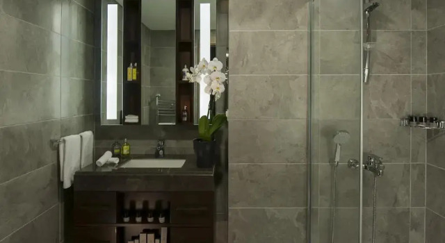 Двухместный Penthouse c 1 спальней Somerset Maslak Istanbul