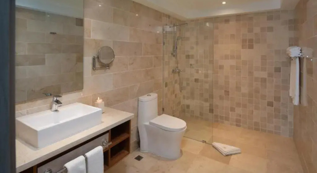Студия Presidential Suites Lifestyle Cabarete - Room Only
