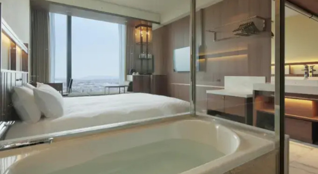 Двухместный номер Executive Candeo Hotels Osaka Hirakata