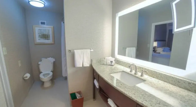Двухместный номер NON SMOKING Doubletree Suites by Hilton at The Battery Atlanta