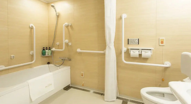 Двухместный номер Universal Hotel Musse Ginza Meitetsu