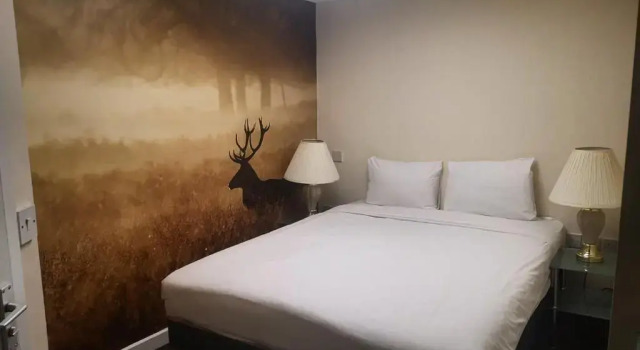 Двухместный номер без окна The International Hotel