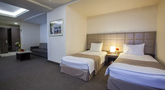 Deluxe Twin room Aviatrans Hotel