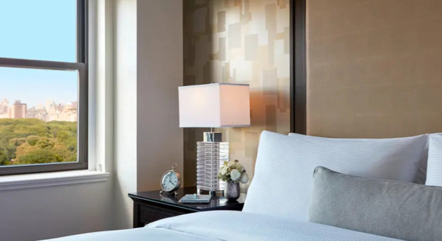 Двухместный люкс с видом на Центральный парк c 1 комнатой JW Marriott Essex House New York