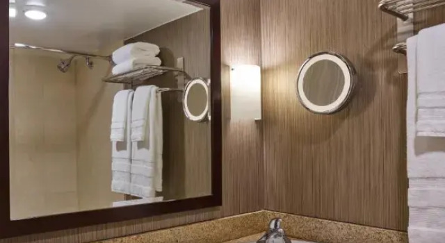 Номер Deluxe Courtland Grand Hotel, Trademark Collection by Wyndham former Sheraton Atlanta