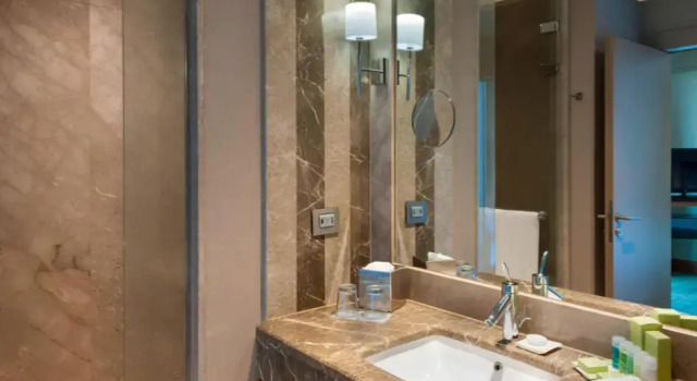 Двухместный полулюкс с видом на город Renaissance Istanbul Polat Bosphorus Hotel